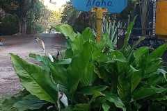 WhatsApp-Image-2026-08-24-at-09.46.52