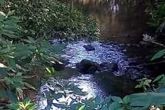 WhatsApp-Image-2026-08-24-at-09.46.58