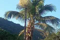 WhatsApp-Image-2026-08-24-at-09.47.01