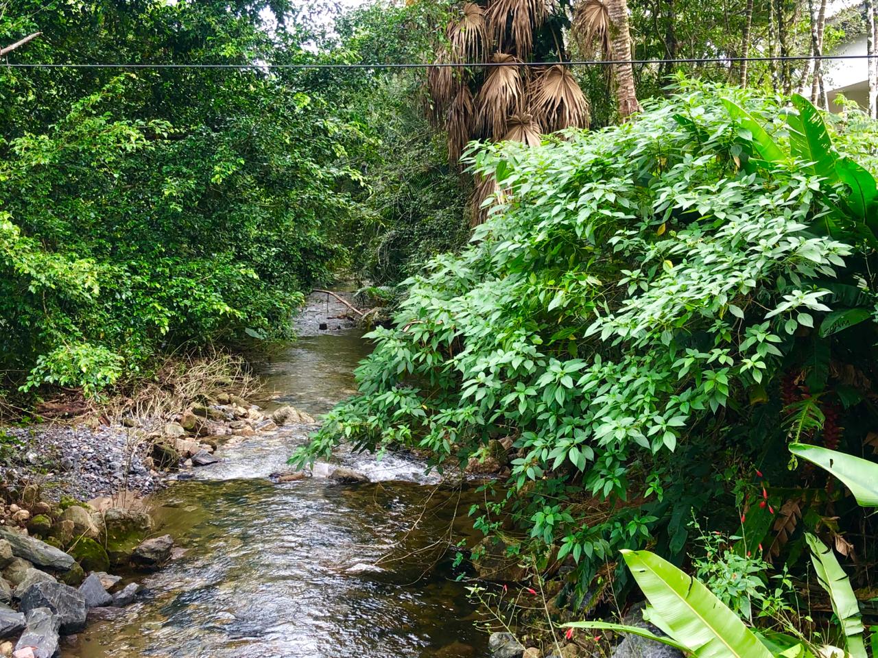 WhatsApp Image 2019-05-31 at 15.00.14 (2)