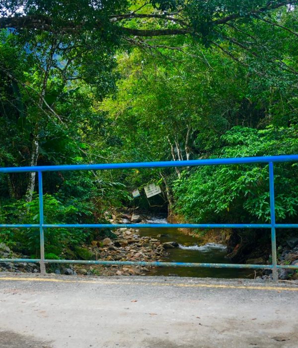 WhatsApp Image 2019-05-31 at 15.00.14 (1)