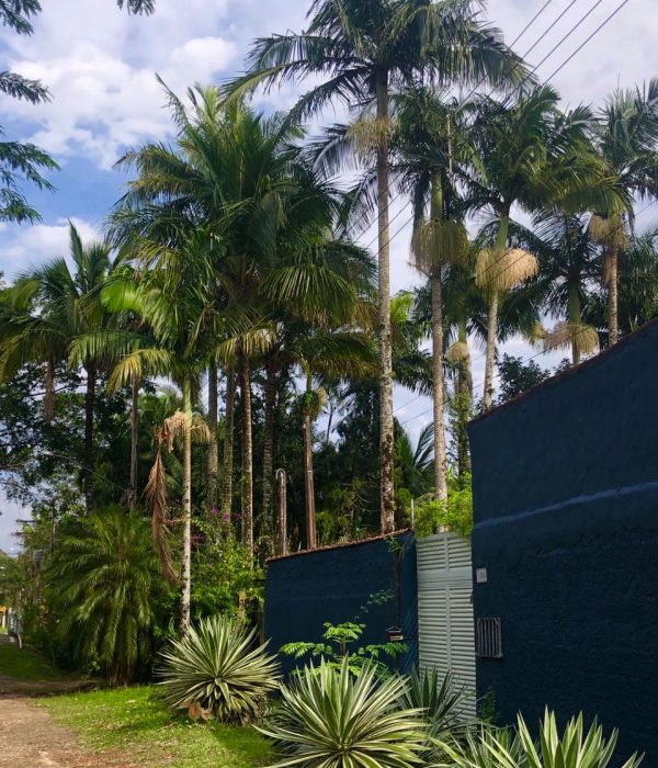 WhatsApp Image 2019-05-31 at 15.00.20 (3)