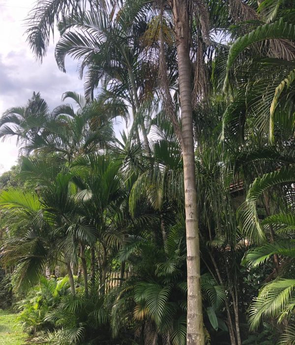 WhatsApp Image 2019-05-31 at 15.00.20